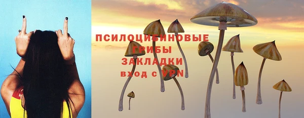 прущие крисы Баксан