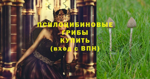 apvp Балахна