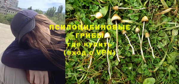прущие крисы Баксан
