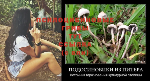 метадон Арсеньев