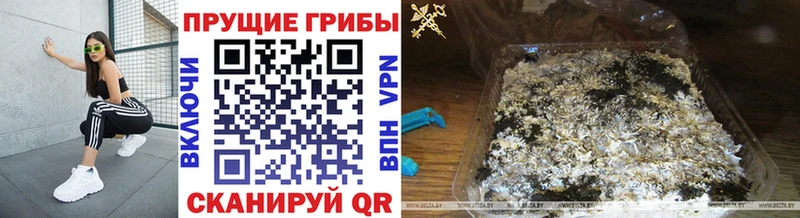 Галлюциногенные грибы мухоморы  Эртиль 