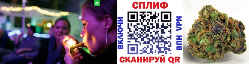 продажа наркотиков Эртиль Шишки марихуана VHQ